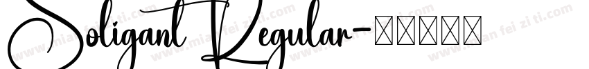 Soligant Regular字体转换